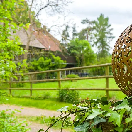 別荘 Forsthaus Halbemark バート・ゾーデン・アレンドルフ